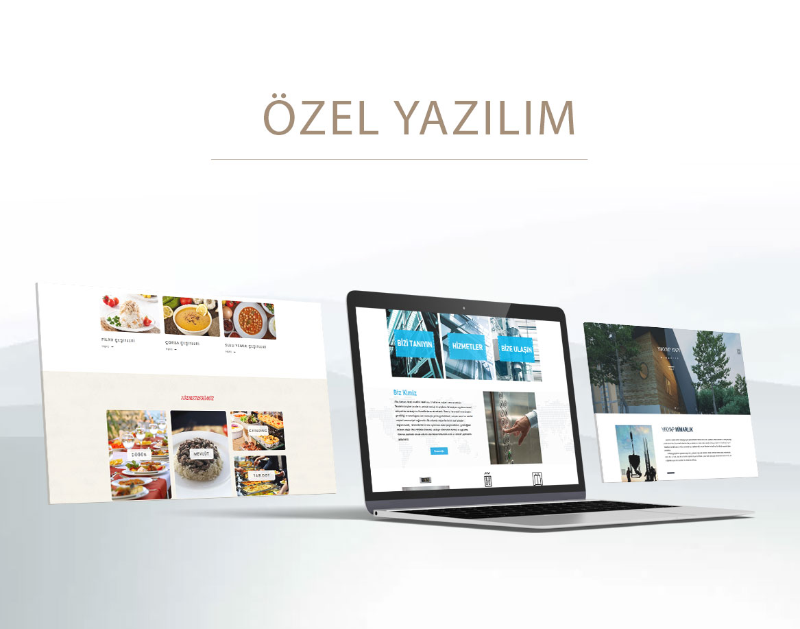 Özel Yazılım