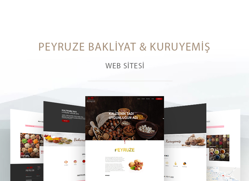 WEB TASARIM